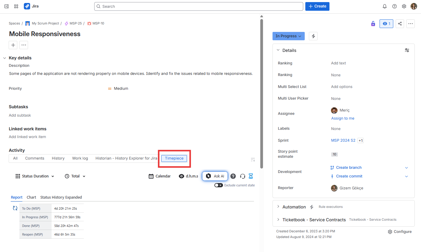 Full Page Work Item View Screen